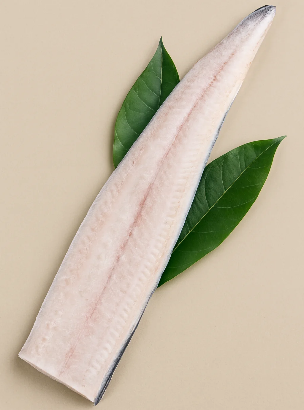자포니카 냉동 필렛
